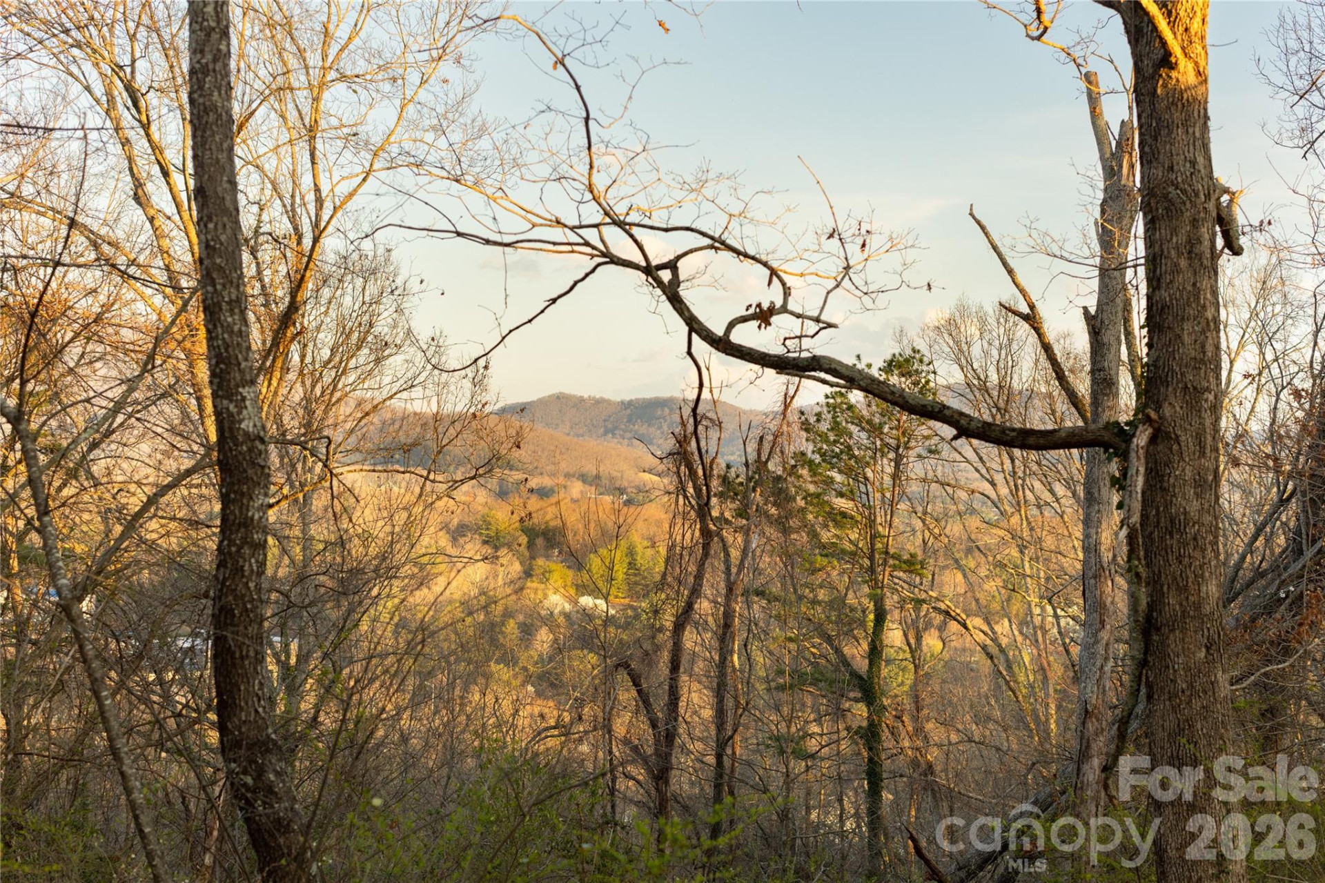 9999 Weaver Hill Road - Photo 4