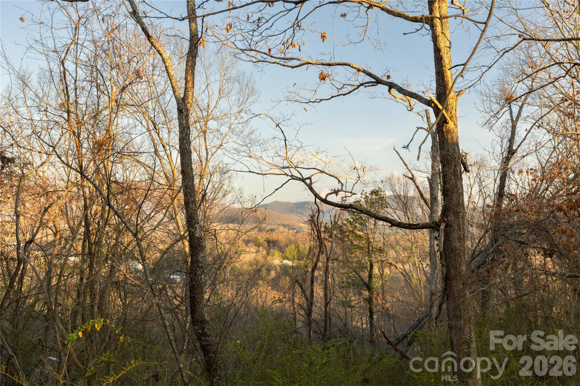 9999 Weaver Hill Road - Photo 5