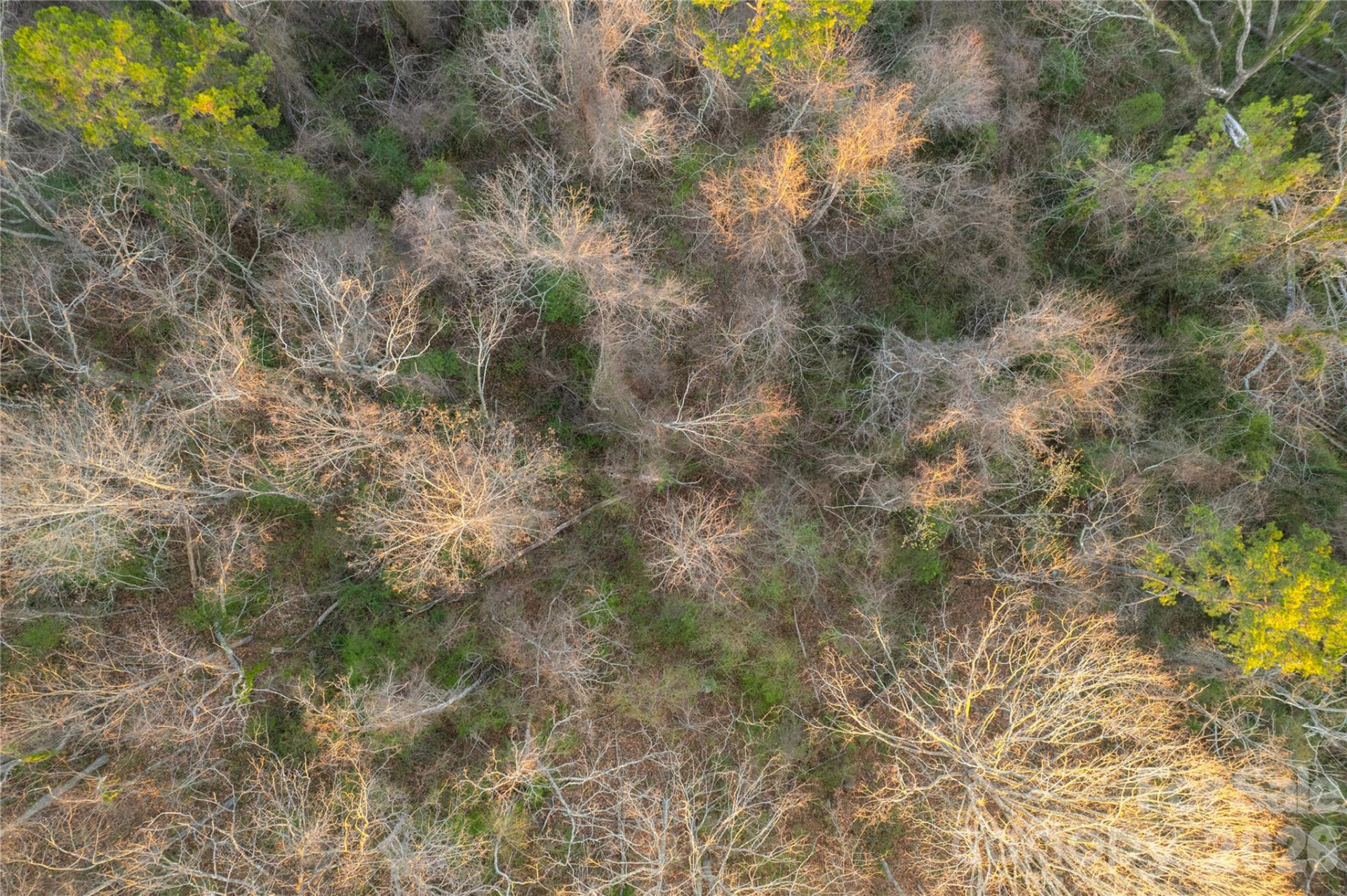 9999 Weaver Hill Road - Photo 10