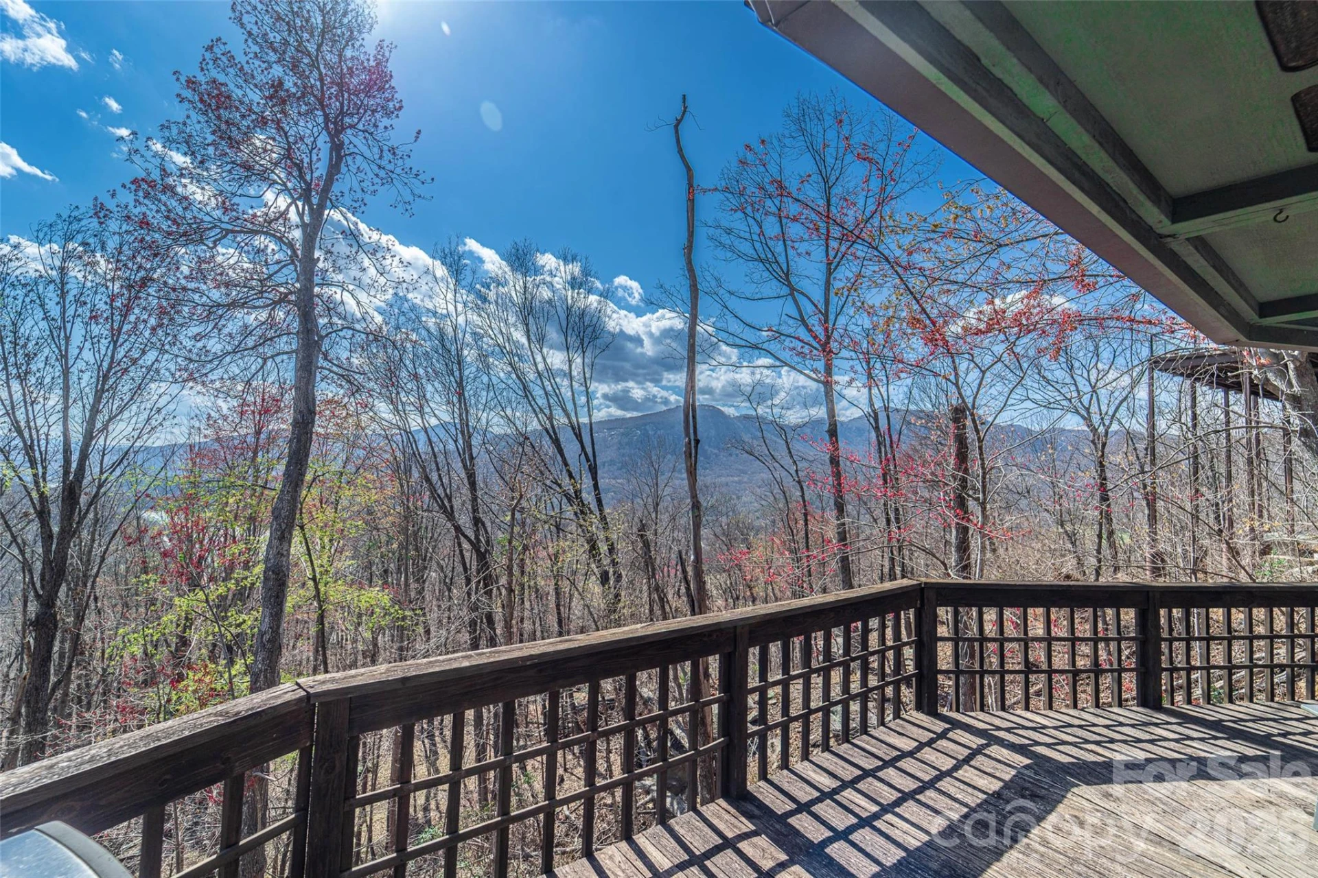 503 Youngs Mountain Drive - Photo 10