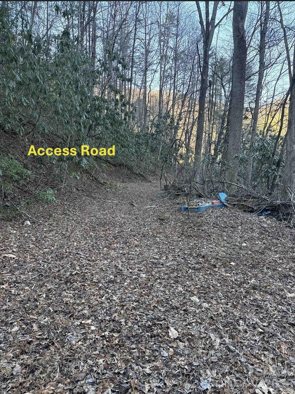 70 Earls Road - Photo 12