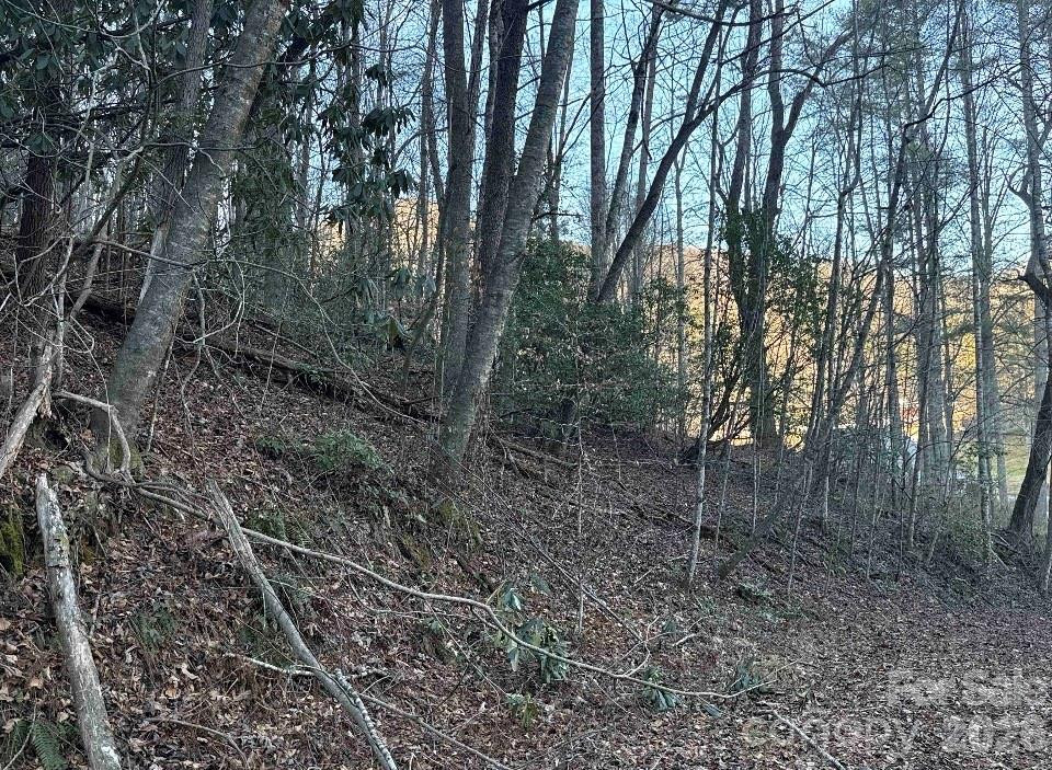 70 Earls Road - Photo 13