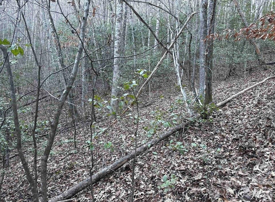 70 Earls Road - Photo 14