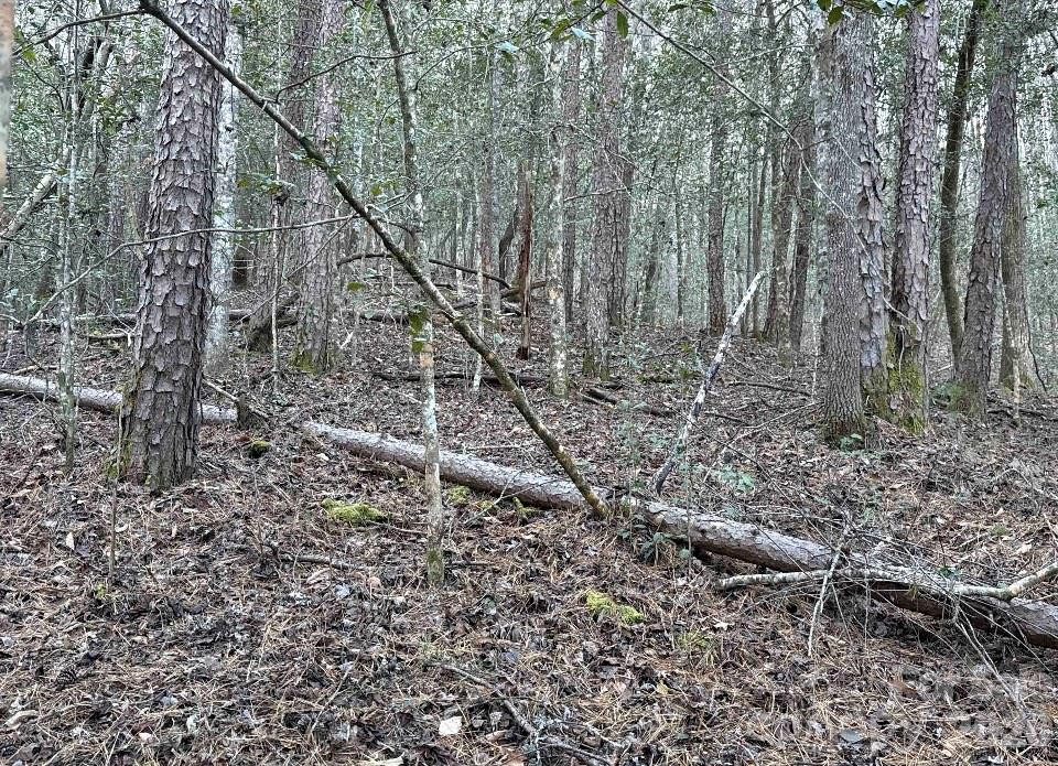 70 Earls Road - Photo 15