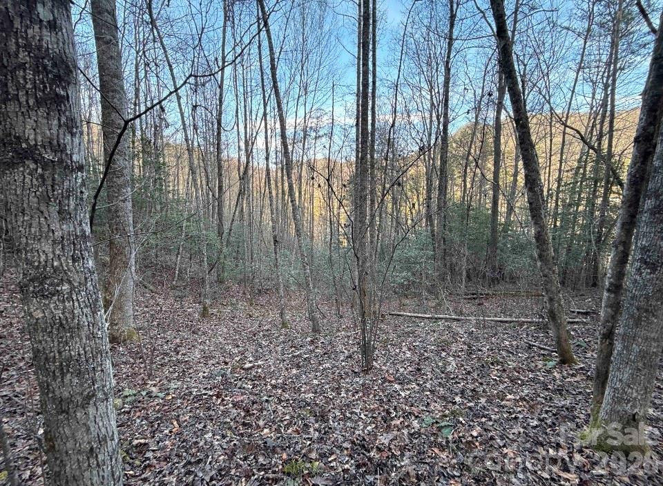 70 Earls Road - Photo 16