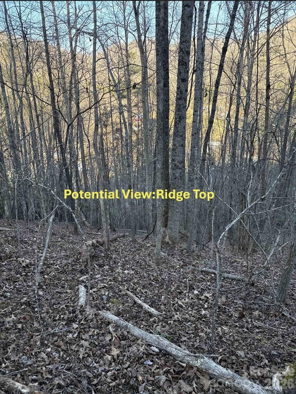 70 Earls Road - Photo 17