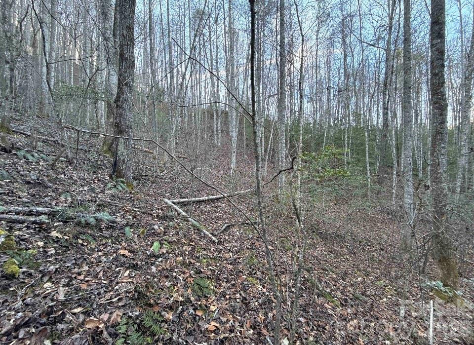 70 Earls Road - Photo 18