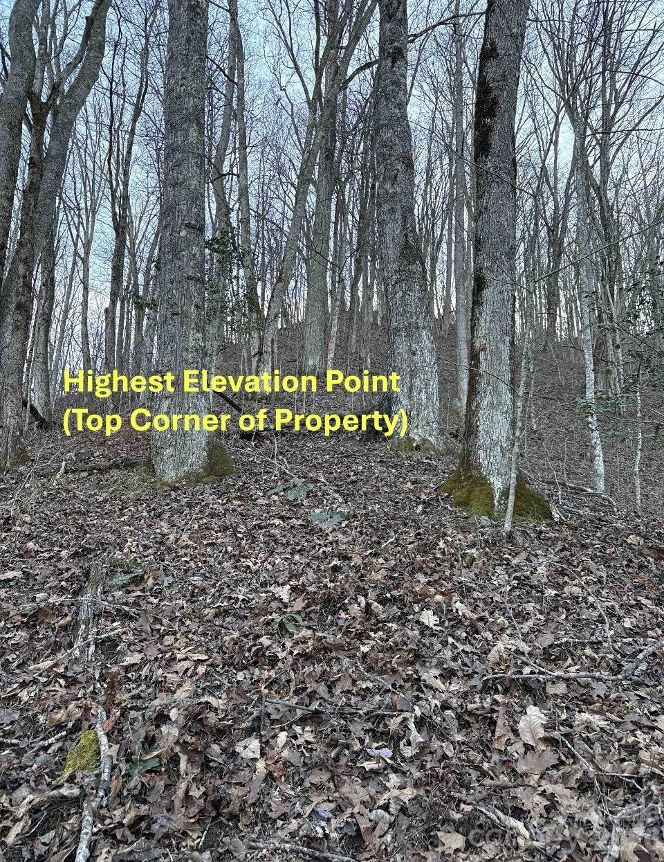 70 Earls Road - Photo 19