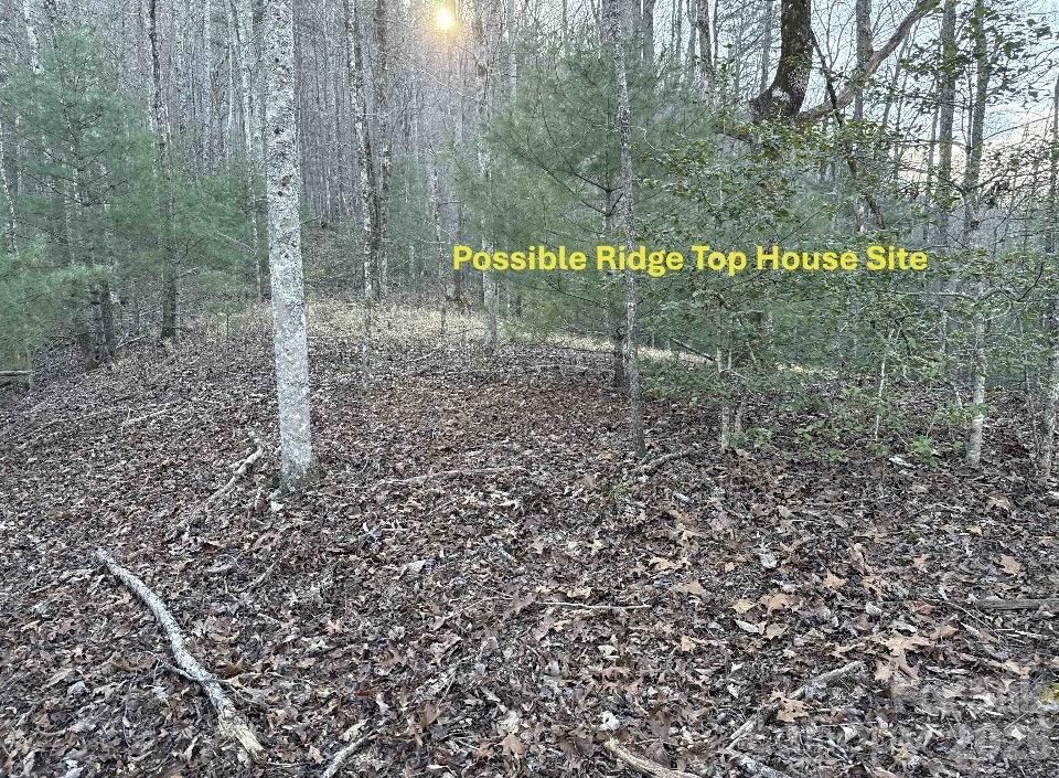 70 Earls Road - Photo 6