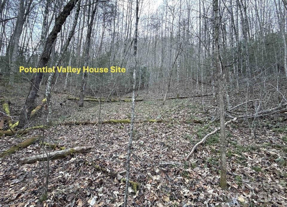 70 Earls Road - Photo 7