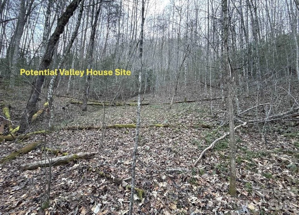 70 Earls Road - Photo 7