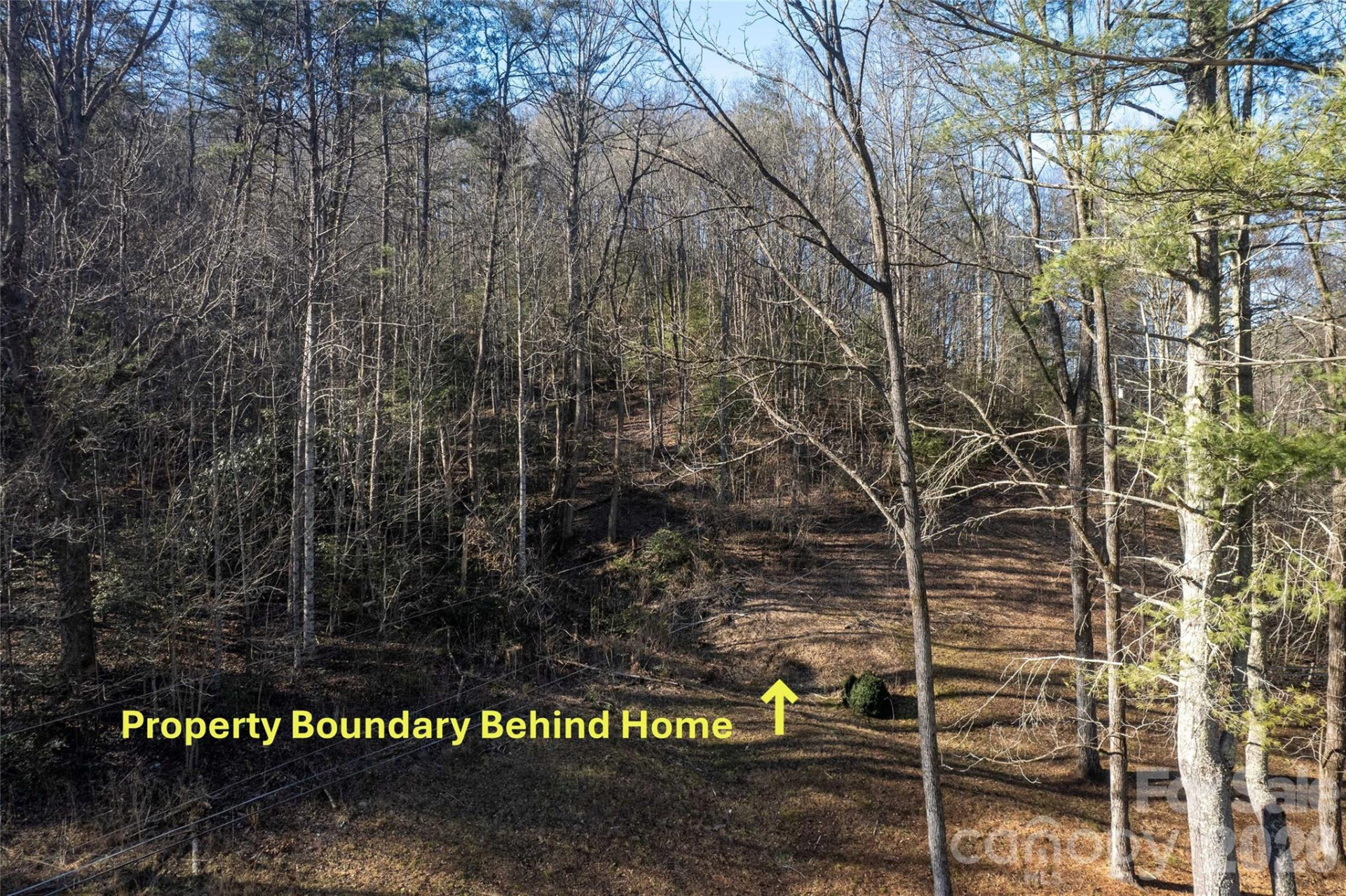 70 Earls Road - Photo 10