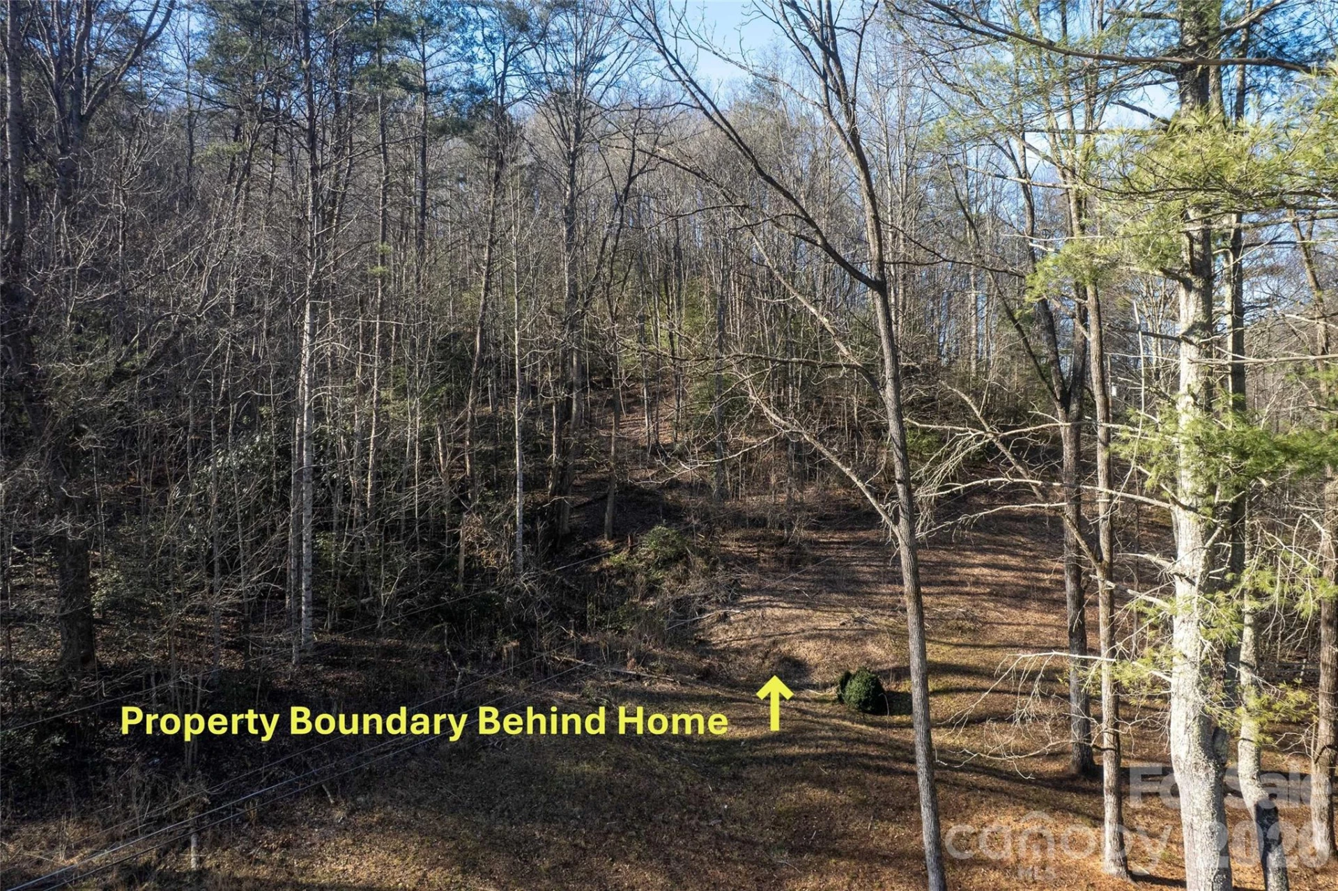 70 Earls Road - Photo 10
