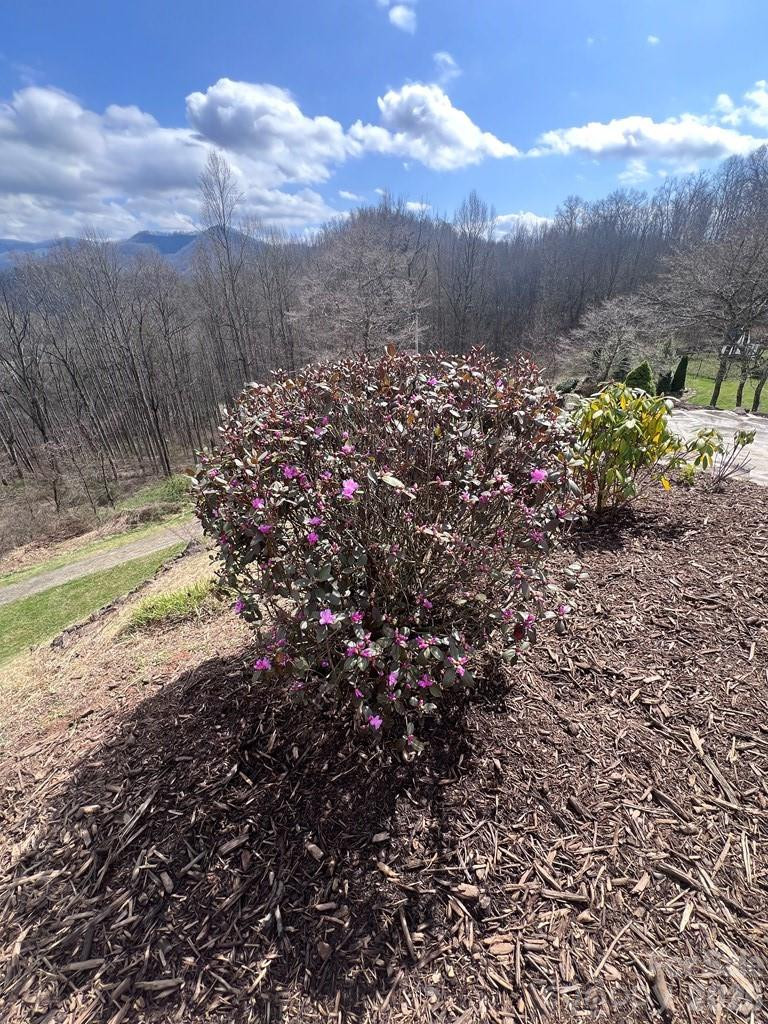 770 Discovery Place - Photo 18