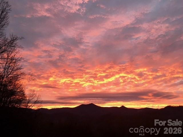 770 Discovery Place - Photo 8