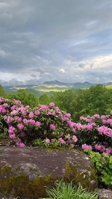 770 Discovery Place - Photo 10