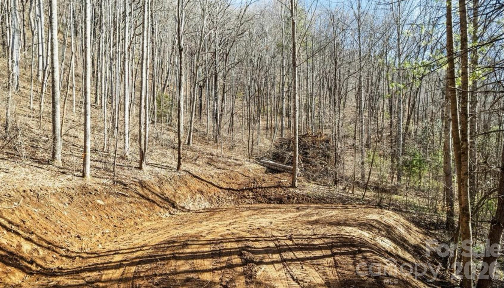 2166 Cove Creek Road - Photo 11