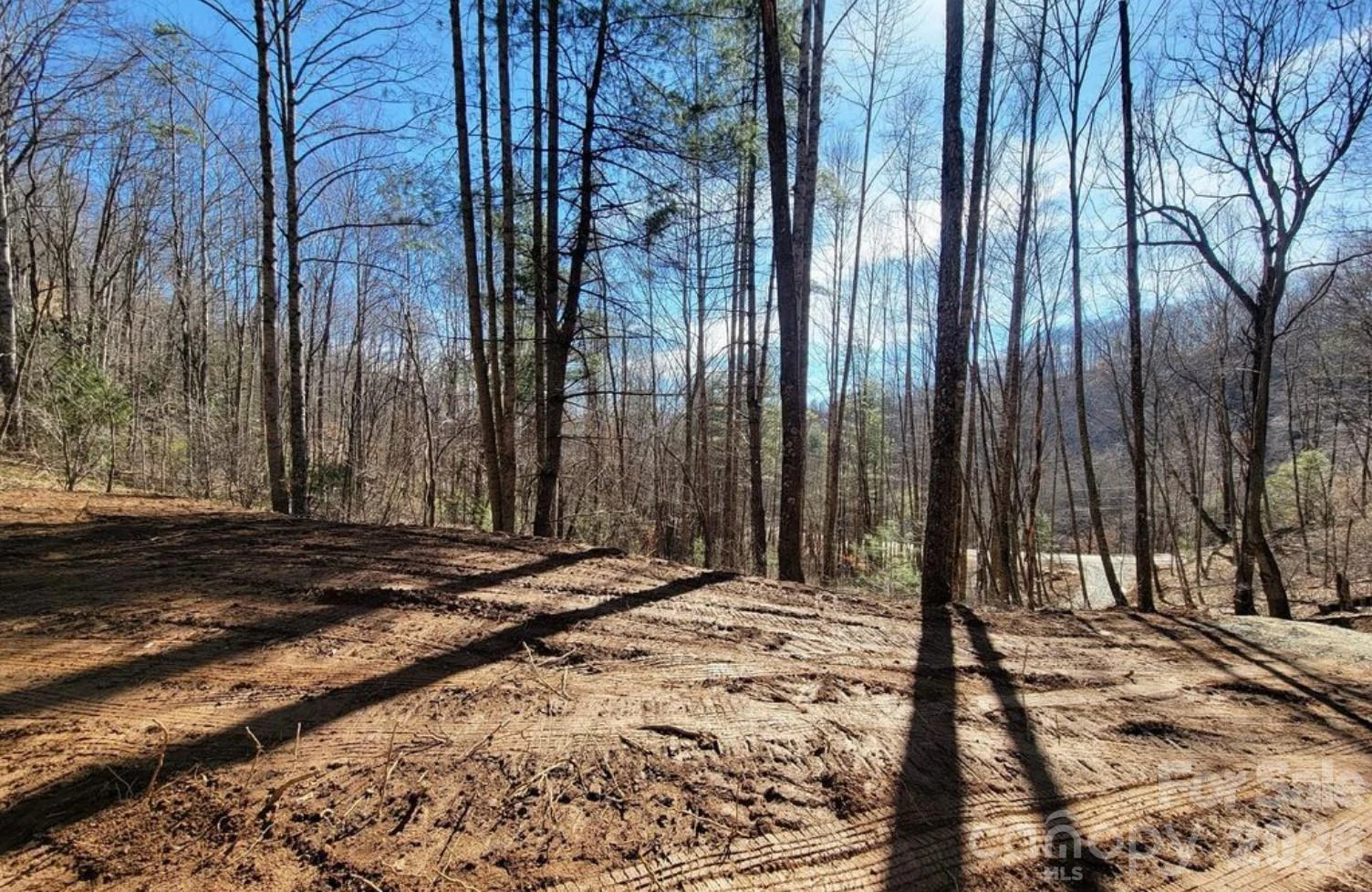 2166 Cove Creek Road - Photo 12