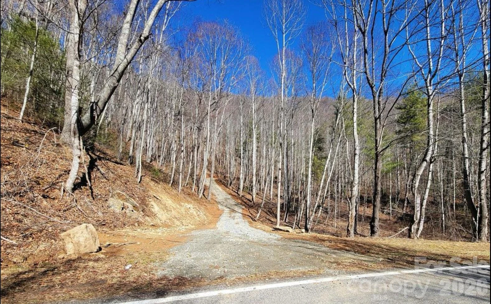 2166 Cove Creek Road - Photo 13
