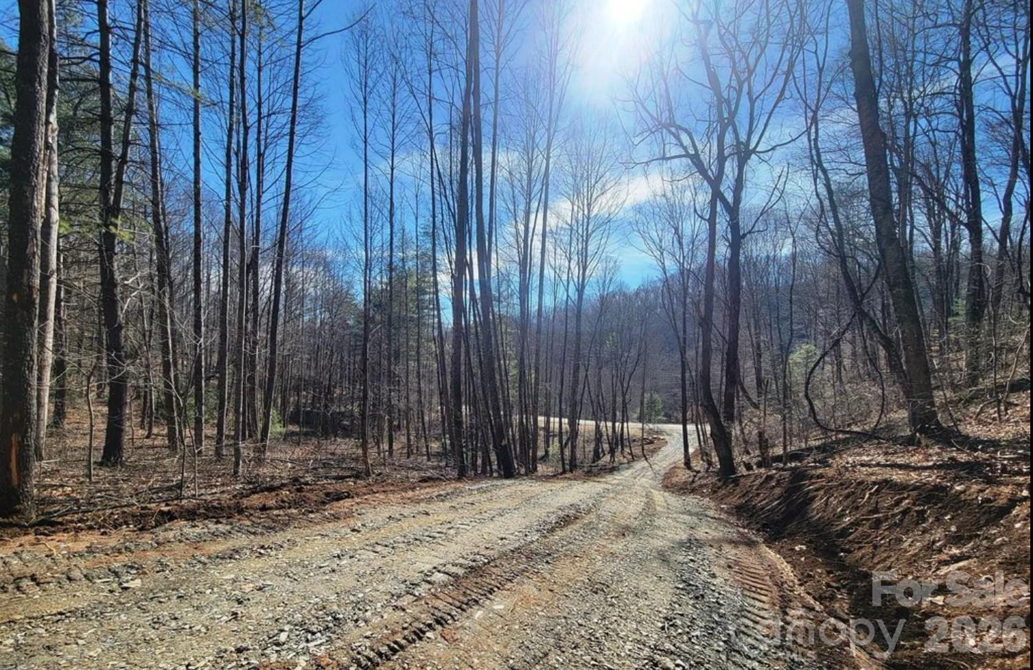 2166 Cove Creek Road - Photo 14