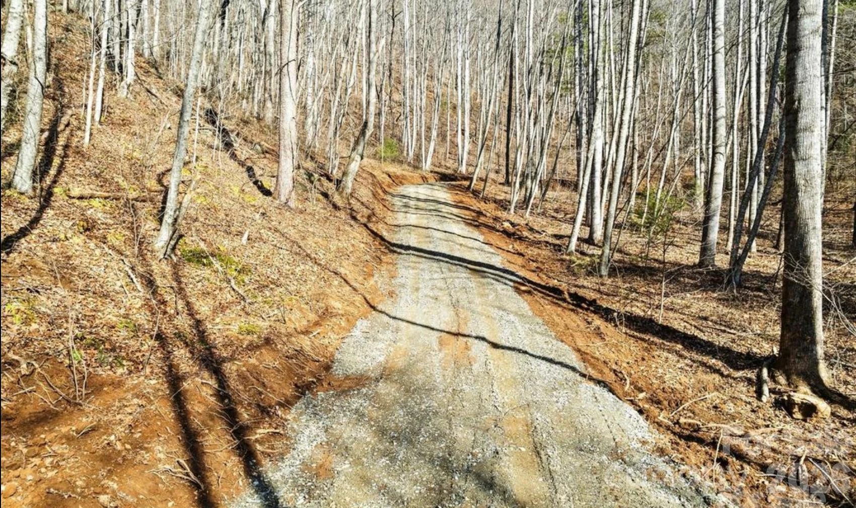 2166 Cove Creek Road - Photo 15