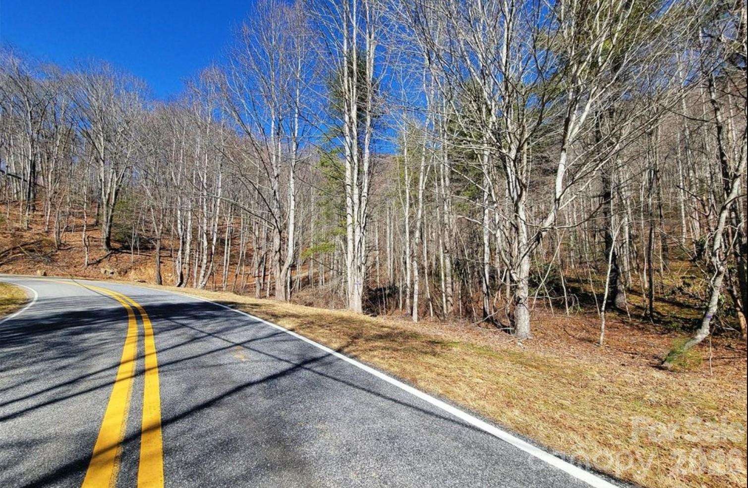 2166 Cove Creek Road - Photo 19