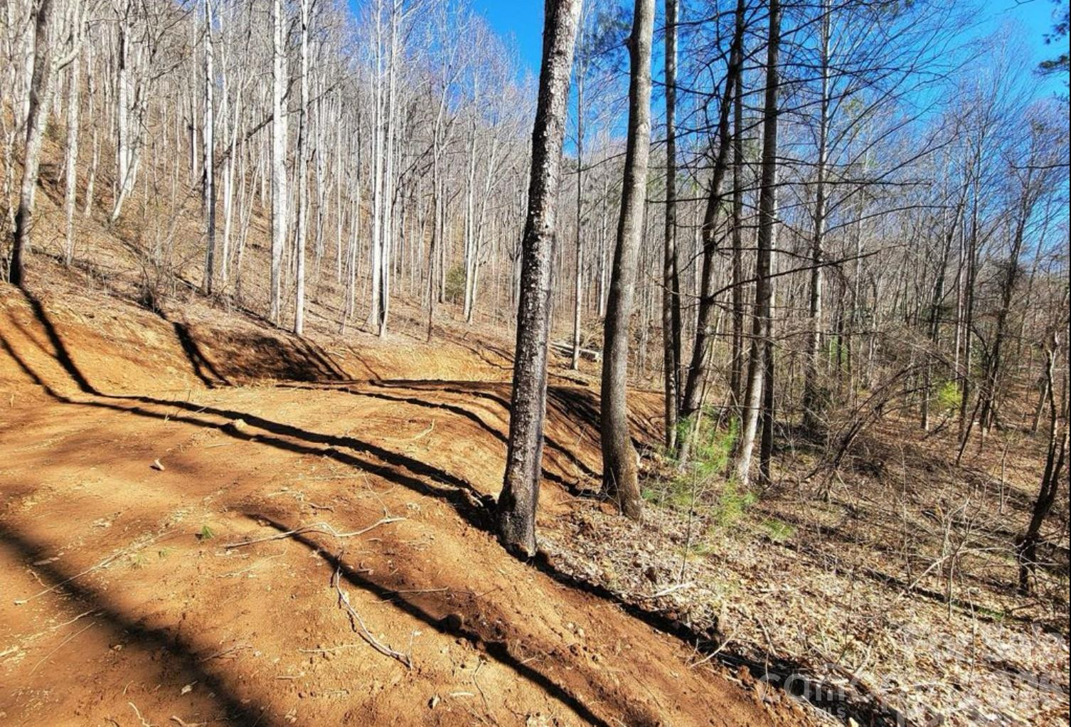 2166 Cove Creek Road - Photo 5