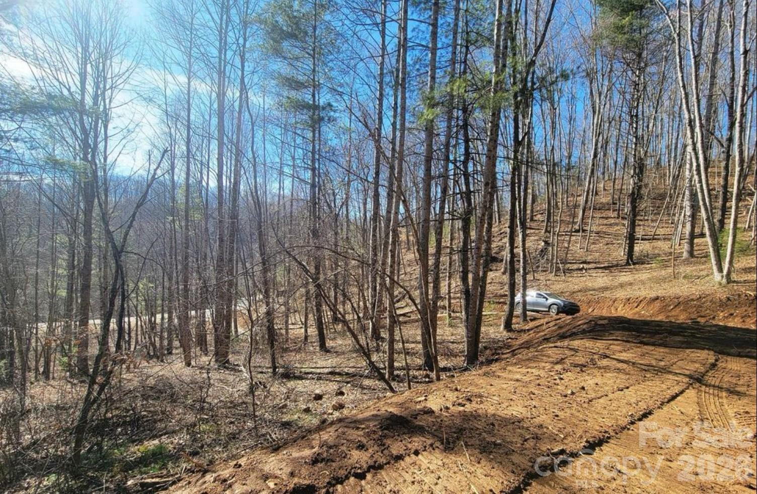 2166 Cove Creek Road - Photo 7