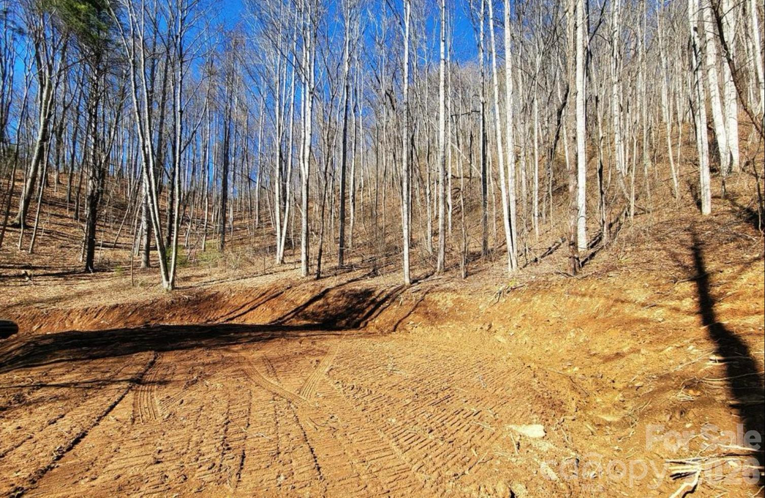 2166 Cove Creek Road - Photo 8