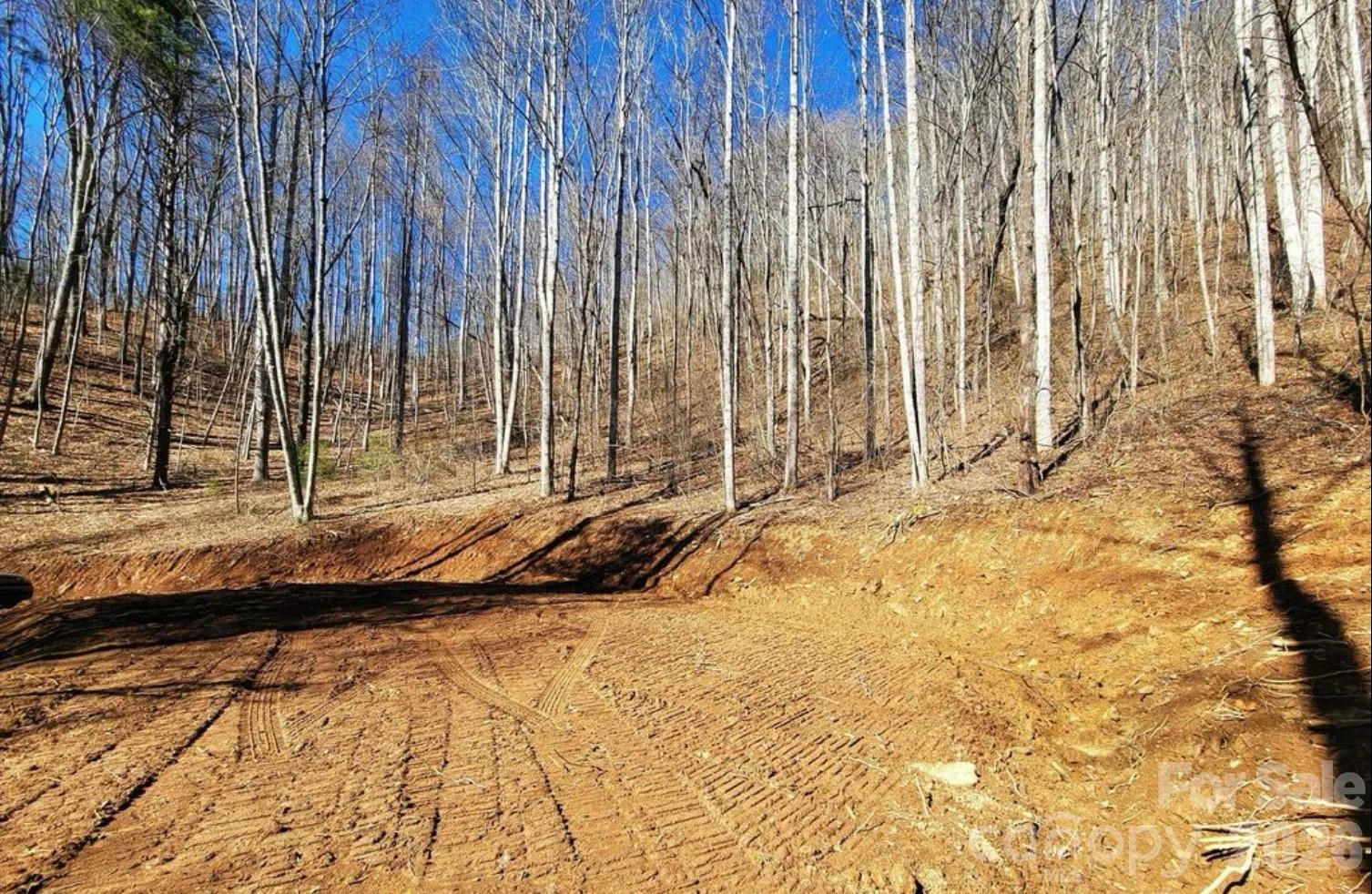 2166 Cove Creek Road - Photo 8