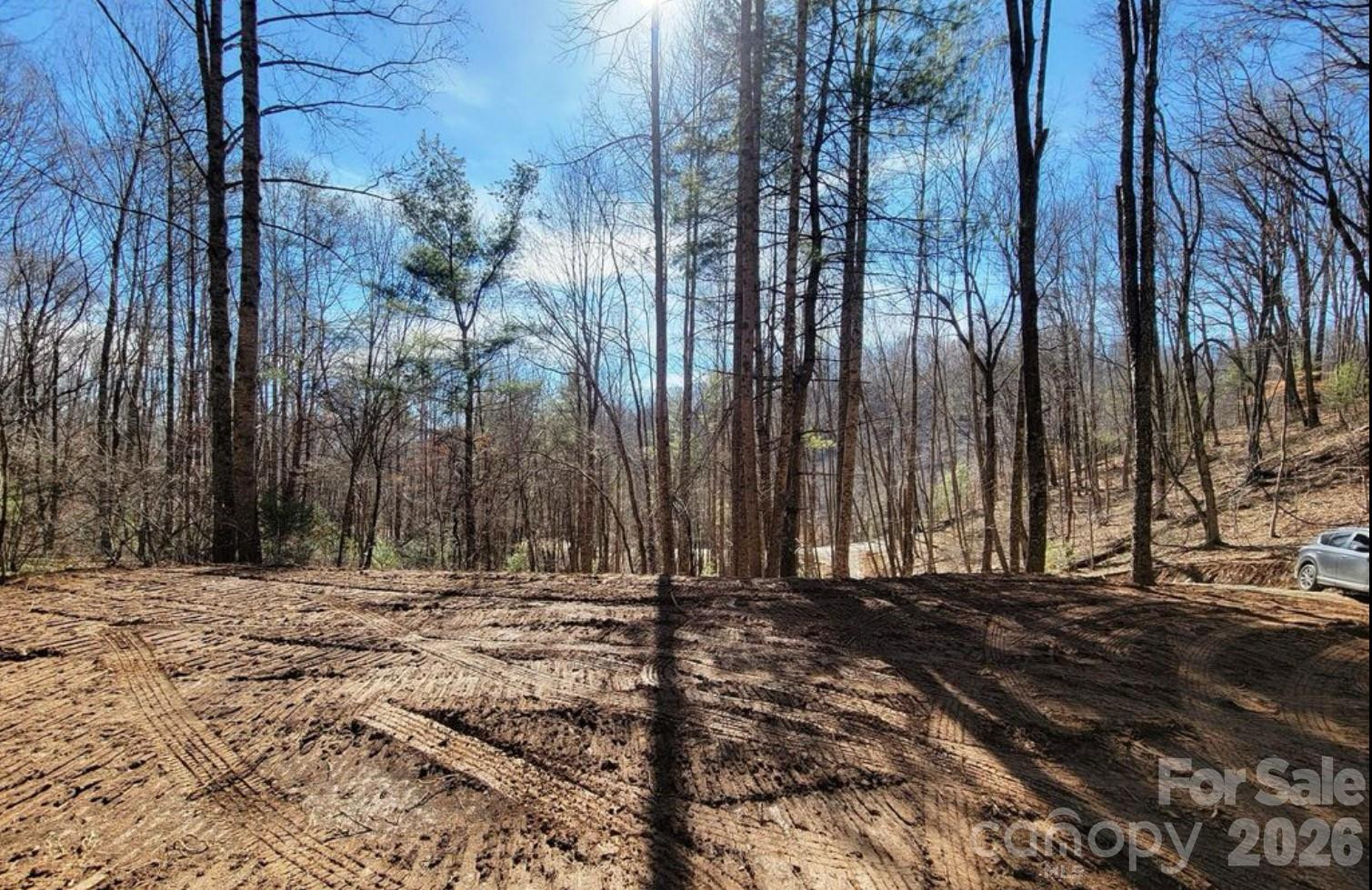 2166 Cove Creek Road - Photo 9