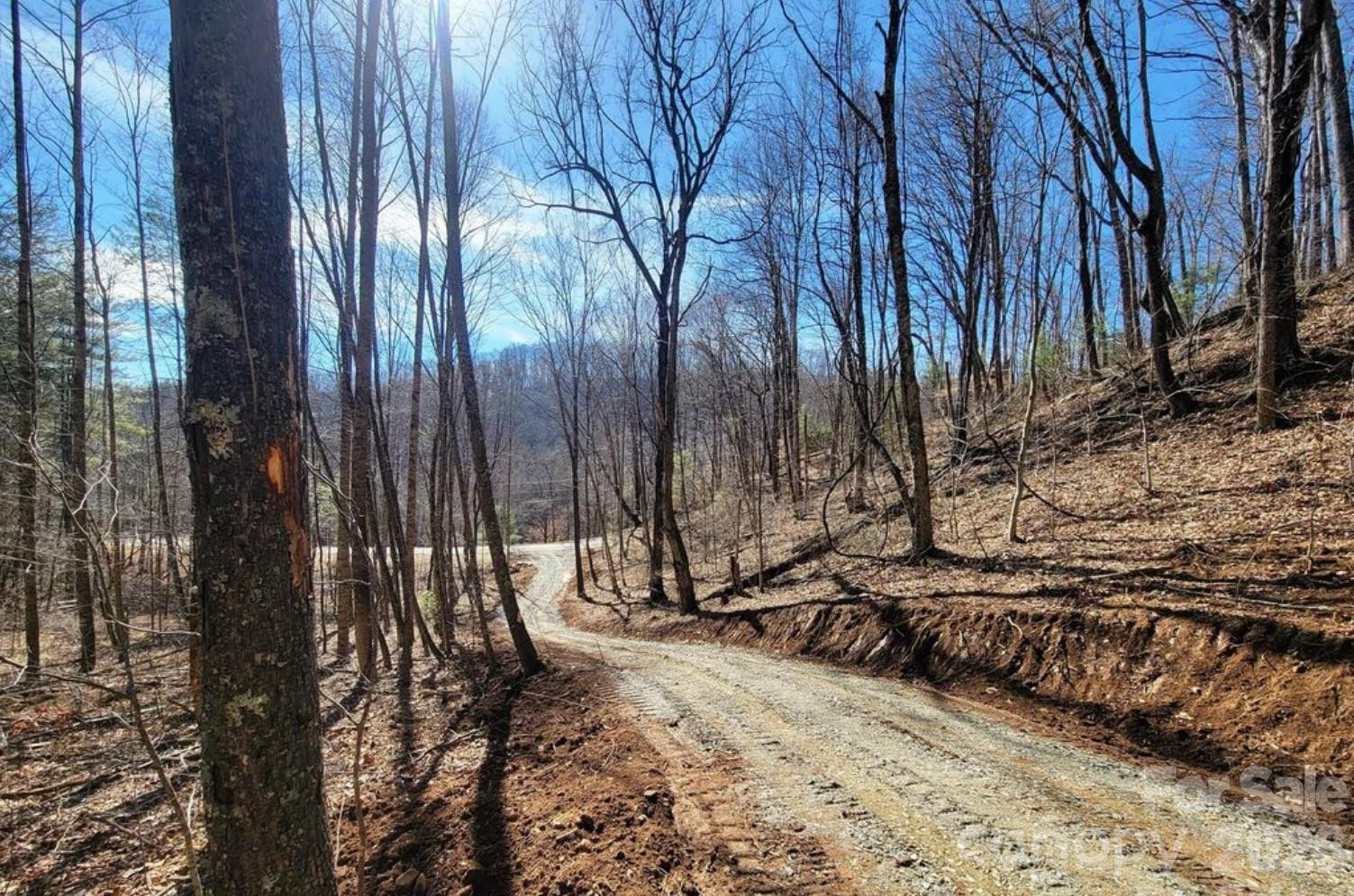 2166 Cove Creek Road - Photo 10