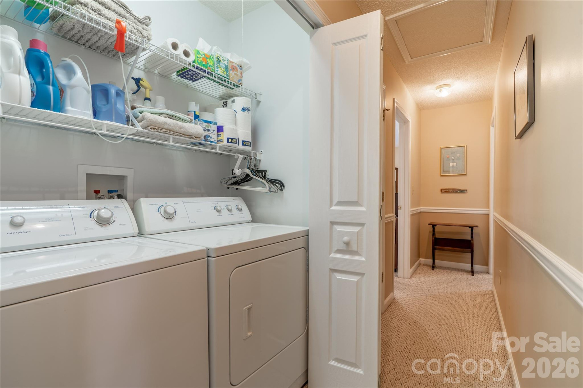 3003 Blue Goose Court - Photo 14