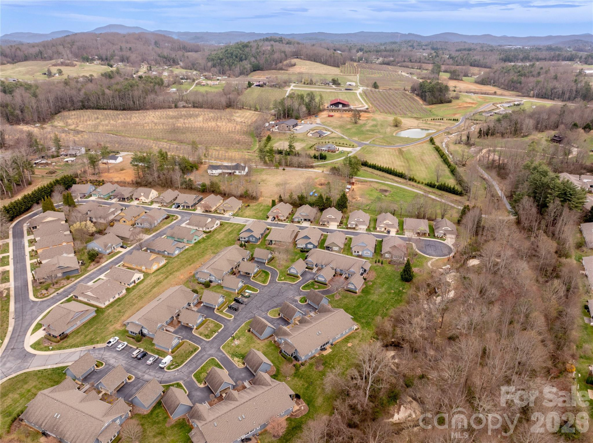 3003 Blue Goose Court - Photo 28