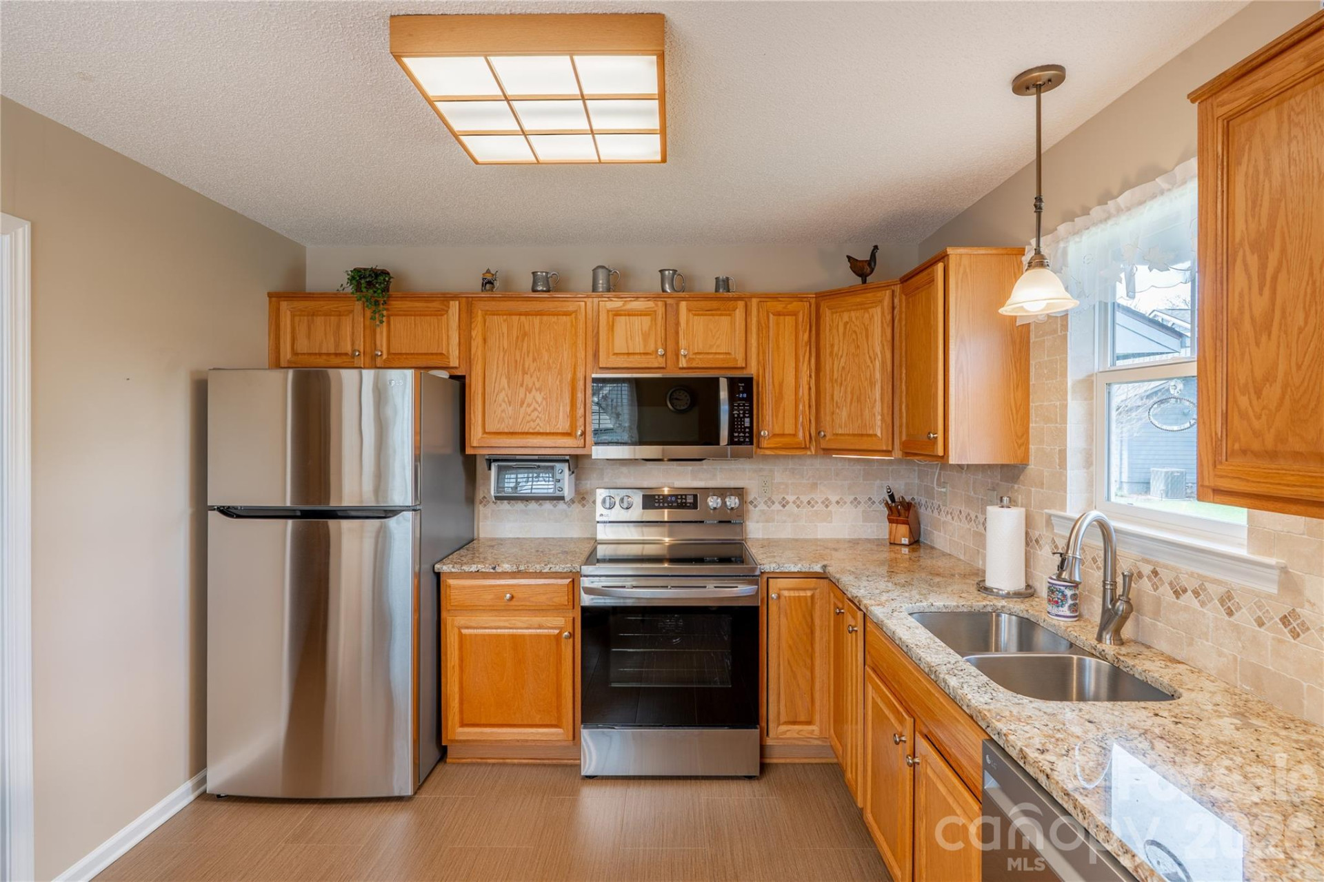 3003 Blue Goose Court - Photo 4