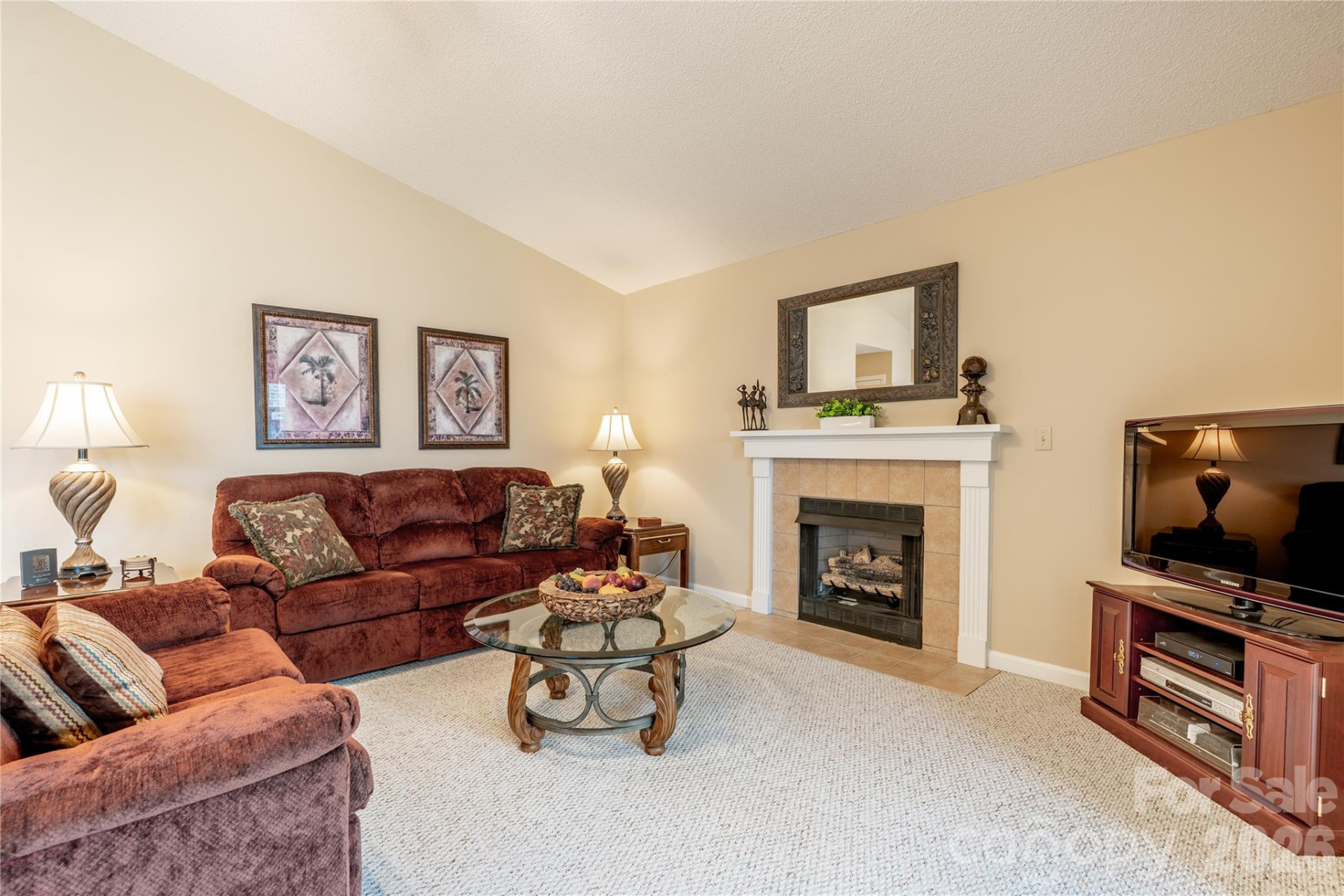 3003 Blue Goose Court - Photo 8