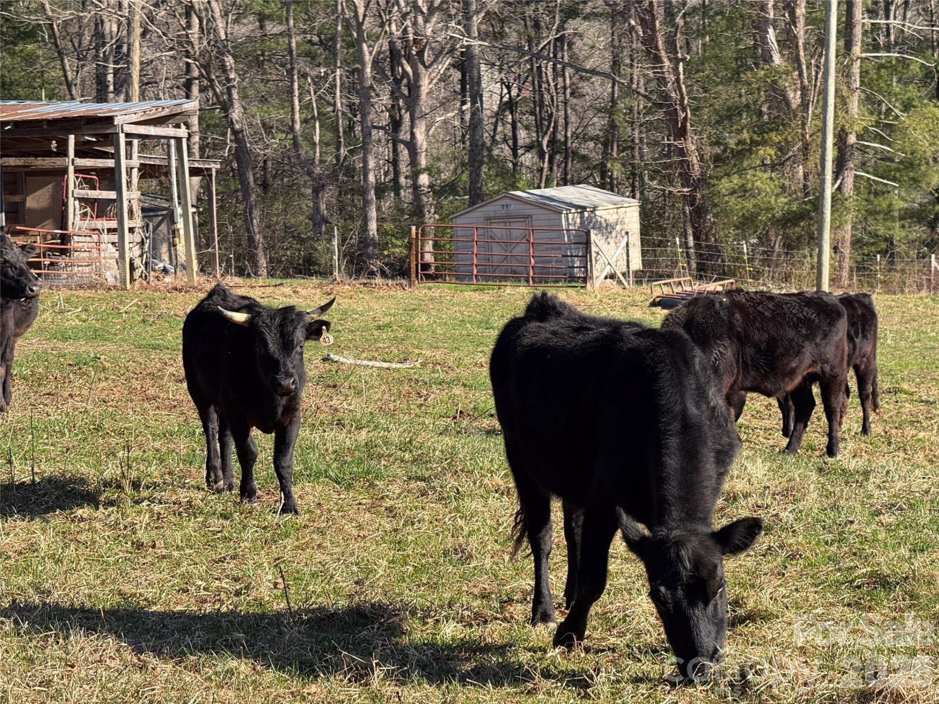 37 Cherokee Trail - Photo 35