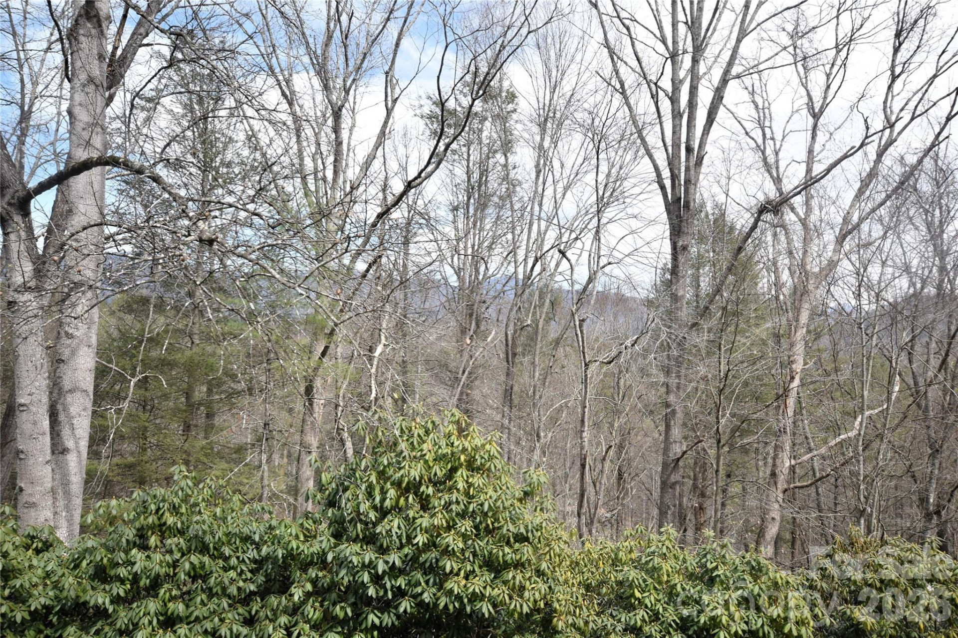 85 Homlish Gardens Drive - Photo 8