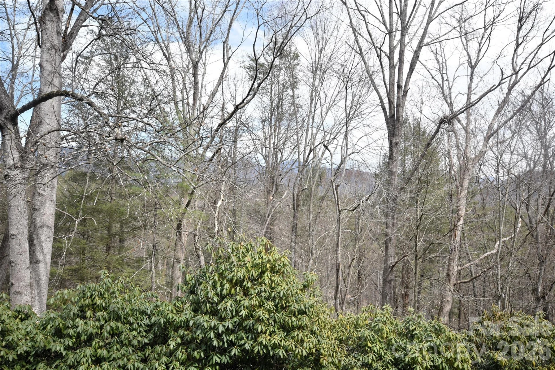 85 Homlish Gardens Drive - Photo 8