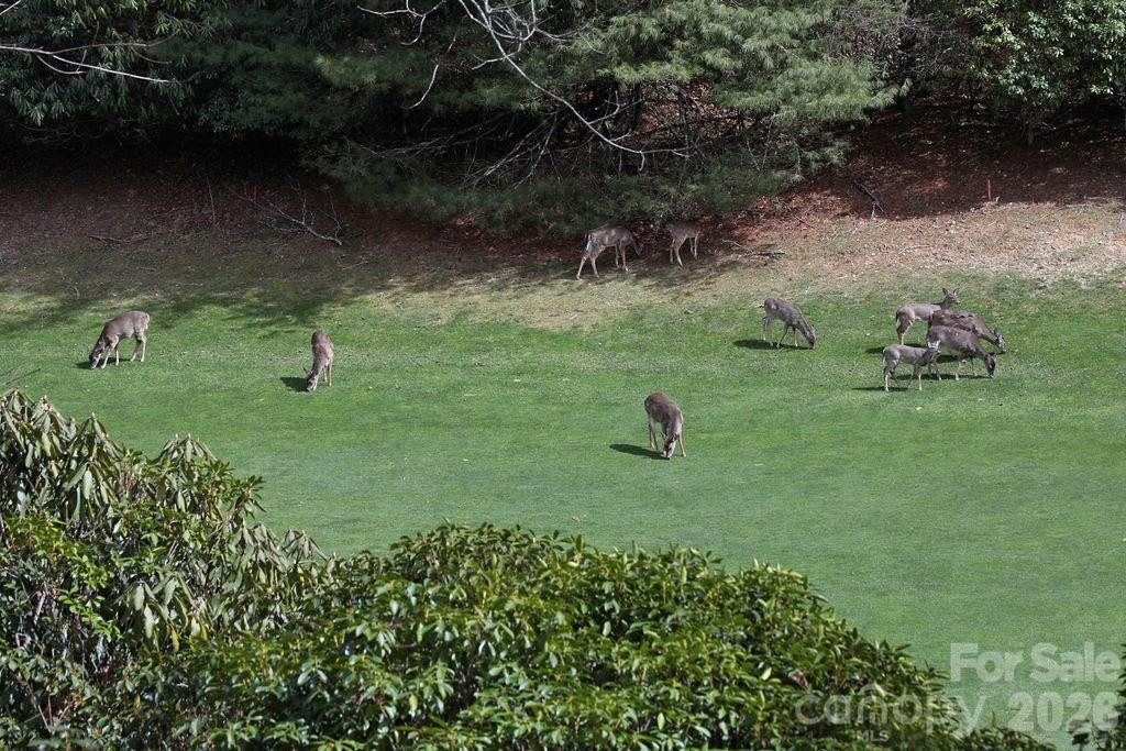 222 Sedi Lane - Photo 19