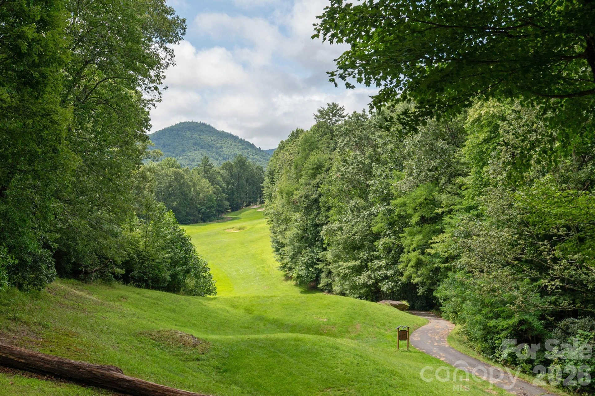 40 Blackberry Trail - Photo 2