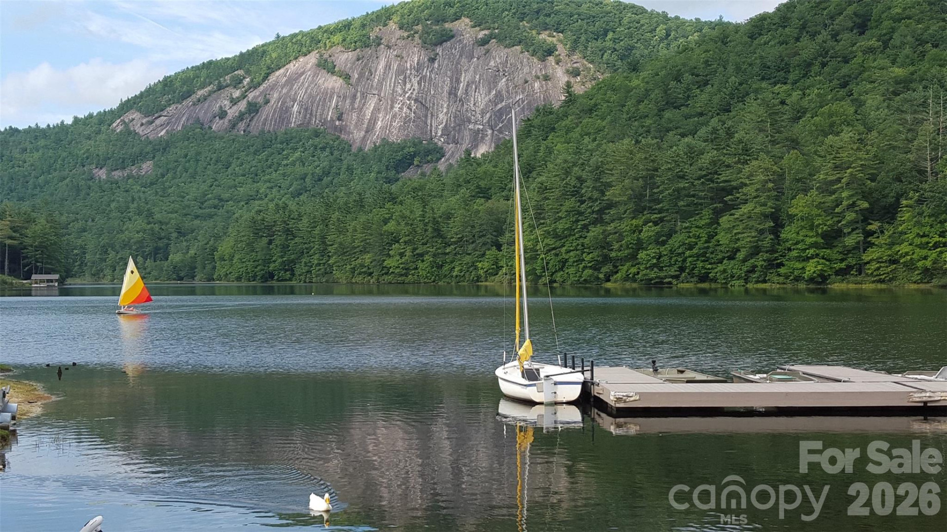 40 Blackberry Trail - Photo 40