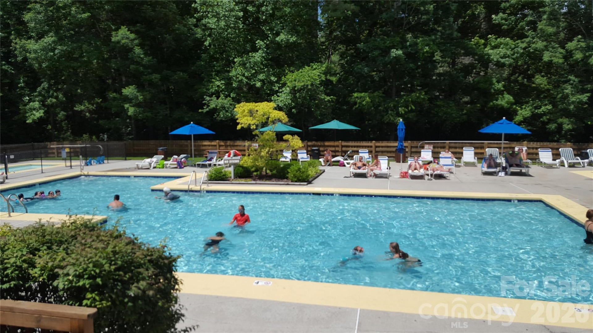 40 Blackberry Trail - Photo 45