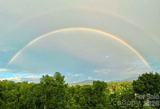 80 Caledonia Road - Photo 26