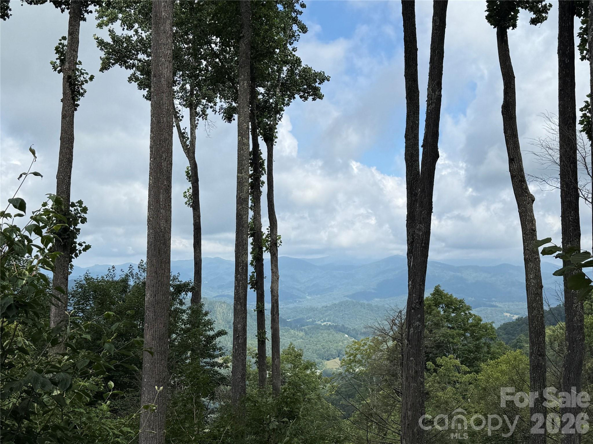 528 Andrew Banks Road #A/3 - Photo 2