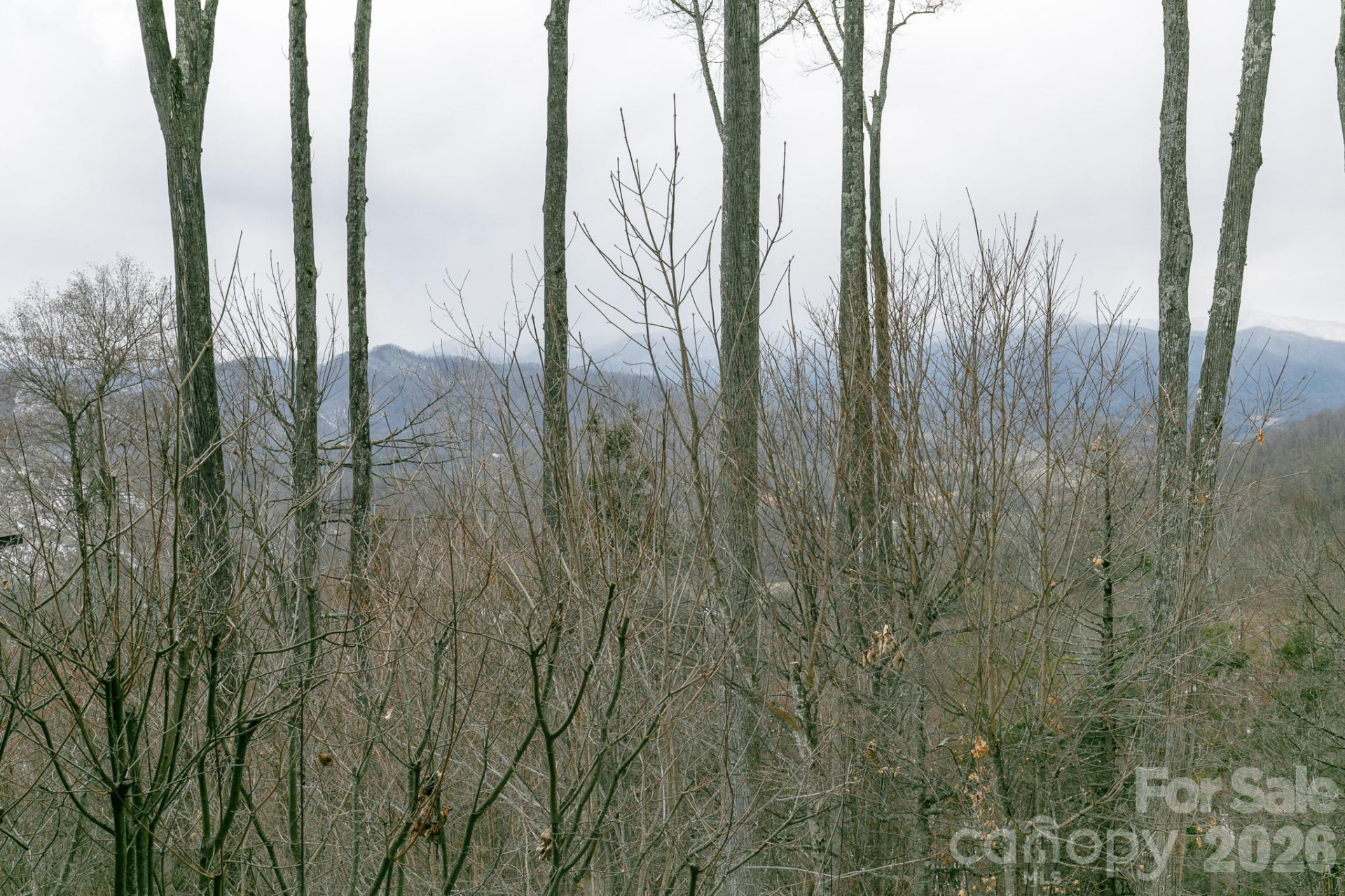 528 Andrew Banks Road #A/3 - Photo 17