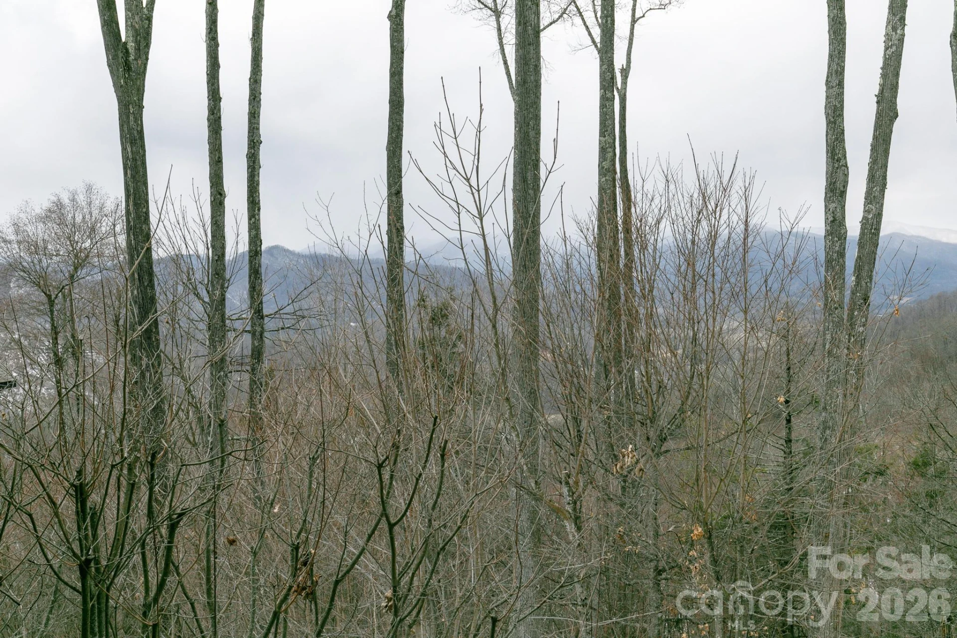 528 Andrew Banks Road #A/3 - Photo 17