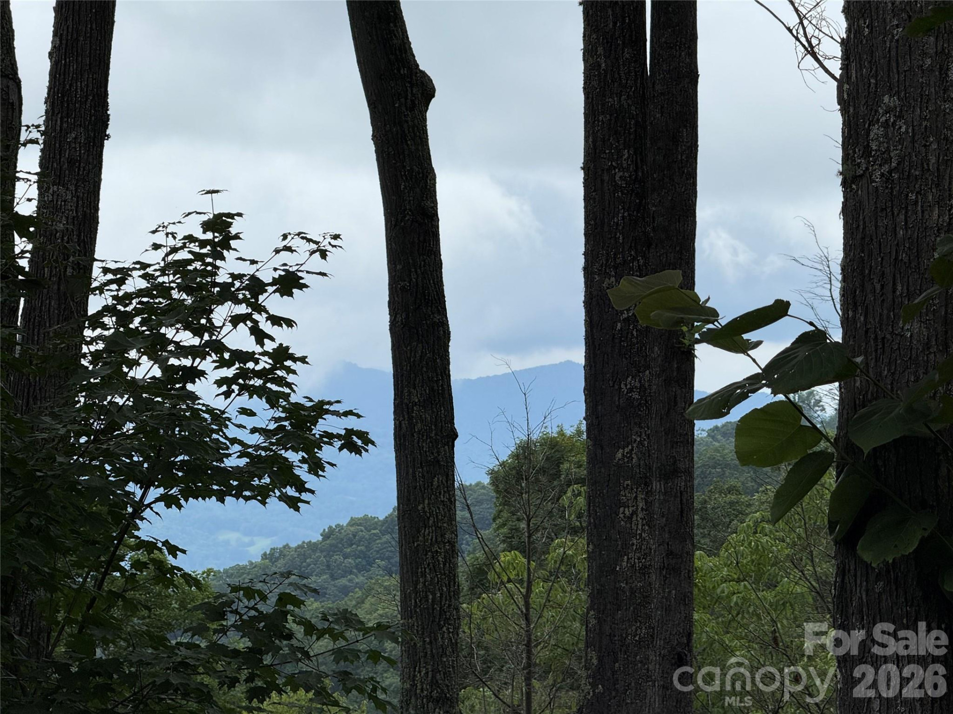 528 Andrew Banks Road #A/3 - Photo 27