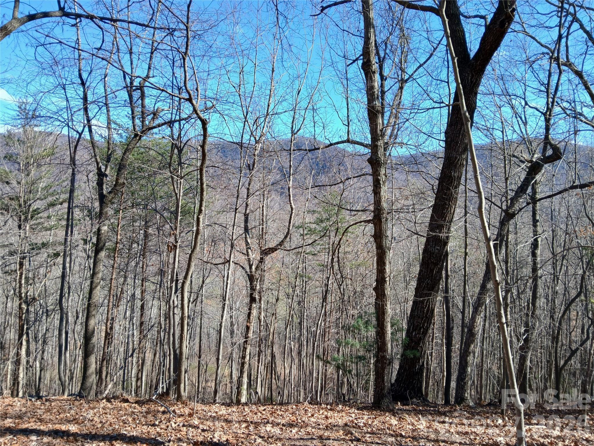 00 Piney Gate Road #39