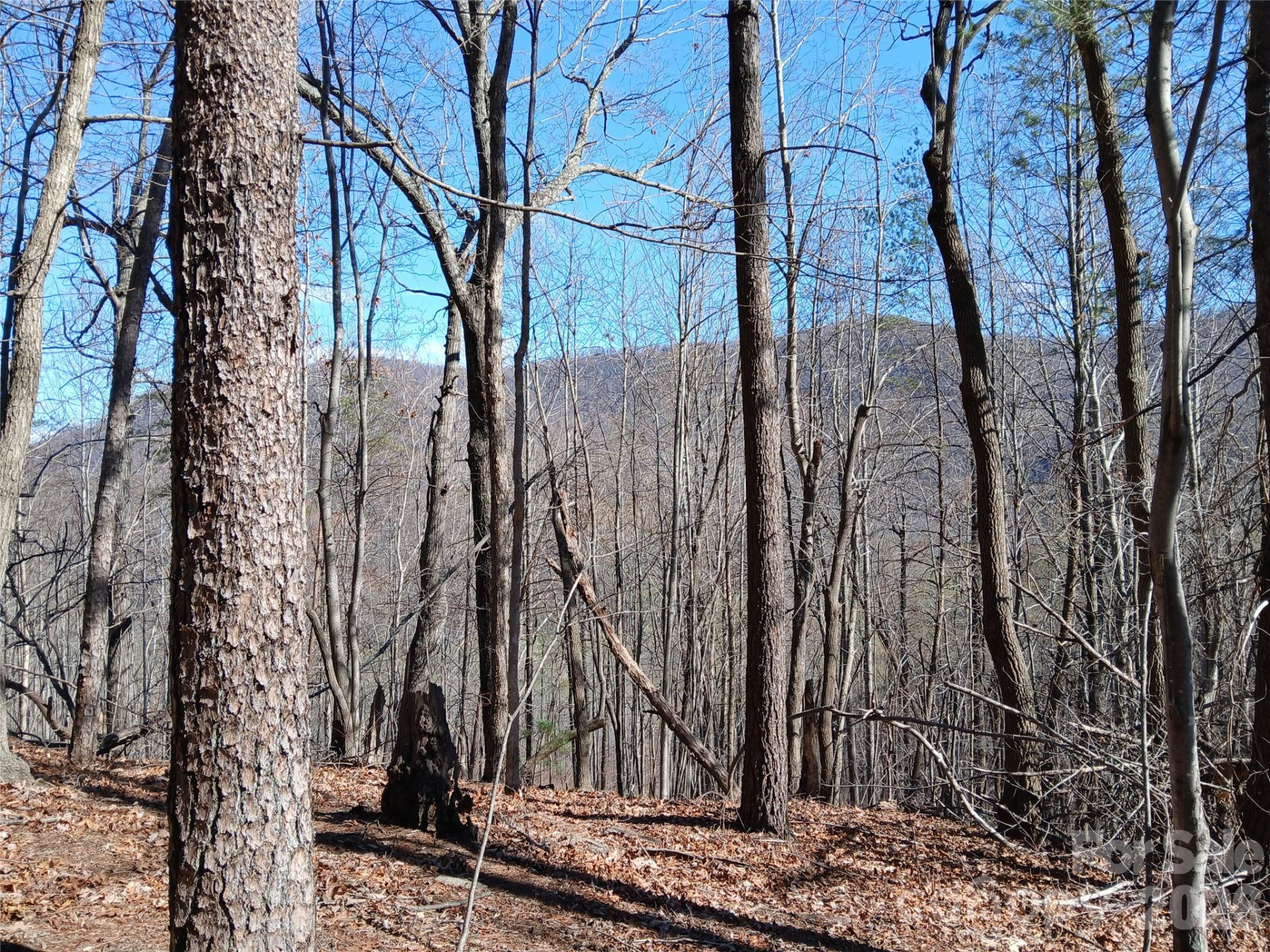 00 Piney Gate Road #39 - Photo 3